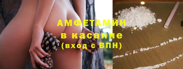 шишки Бронницы