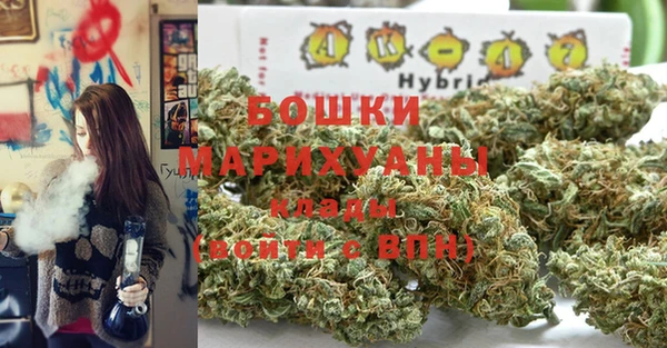 молекула духа Навашино