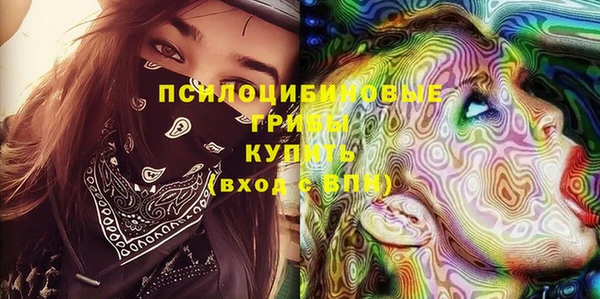 молекула духа Навашино