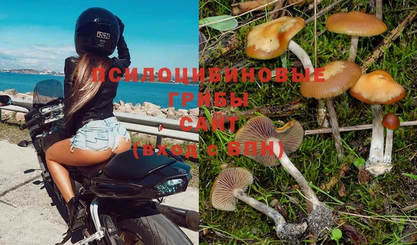 mdma Нефтекумск