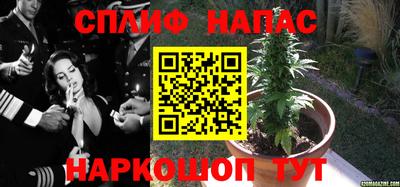 прущий лед Бийск