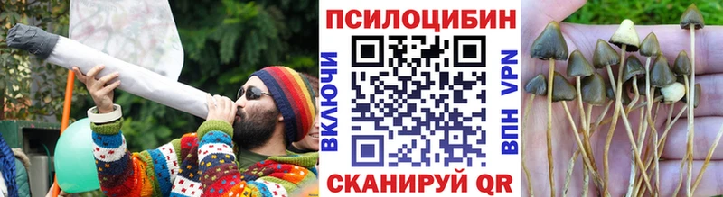 купить закладку  Майский  сайты даркнета как зайти  Псилоцибиновые грибы мицелий 